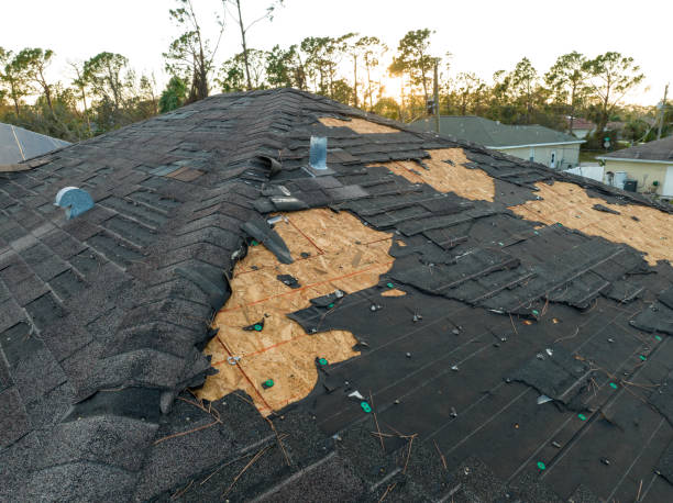 Best Chimney Flashing Repair  in Armada, MI